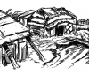 Brun_Schwalbennester