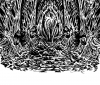 Imperium-fleischraum