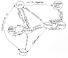 R-Map2