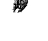 SCHWARZHELM