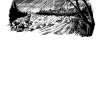 WOLFDORF