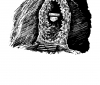 WdaW07_Geode