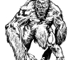 Weismark-weisser-affe
