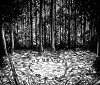 Wisperhain