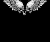 skull_wings